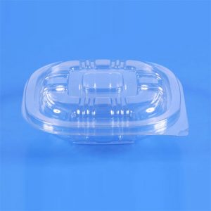 Clear Clamshell Container