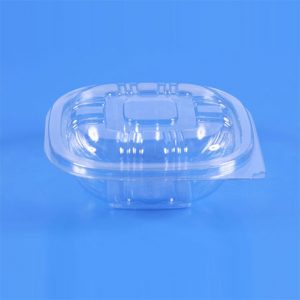 Clear Clamshell Container