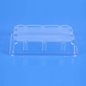 Clear Small Ribbed Rectangular Dome