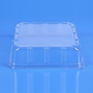Clear Ribbed Rectangular Dome